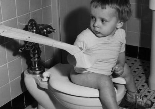 The Impact of Plumbing on Society